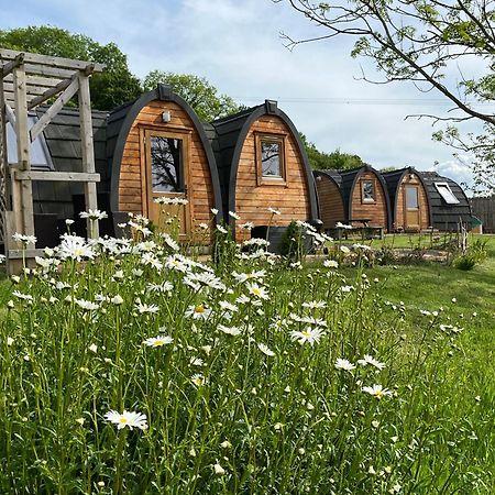 Hedgehog Glamping Pod School House Farm Hotel Leighton  Luaran gambar