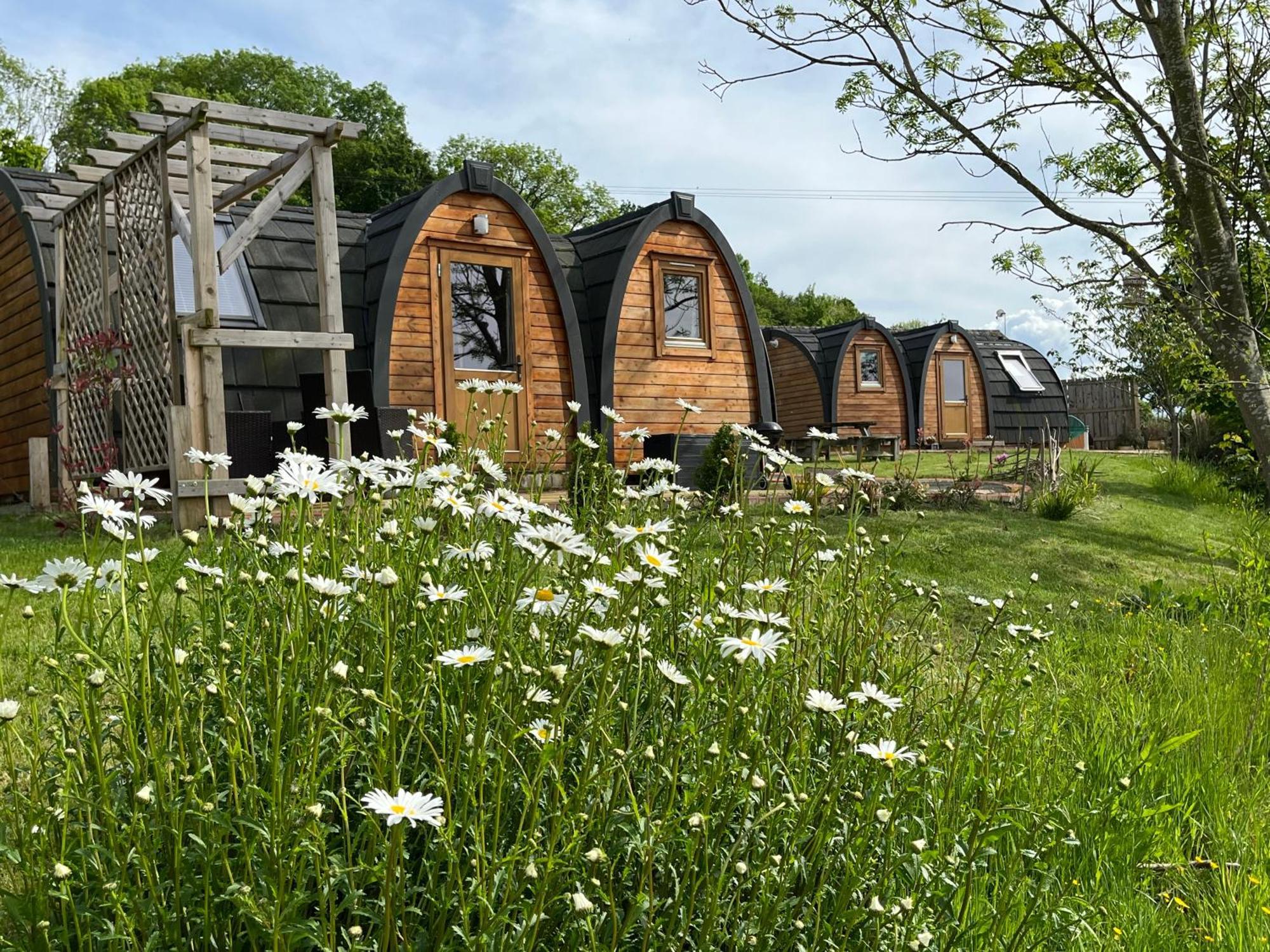 Hedgehog Glamping Pod School House Farm Hotel Leighton  Luaran gambar
